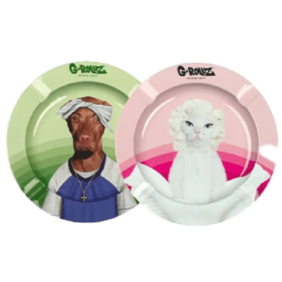 G-Rollz Cenicero Pets Rock 2 1