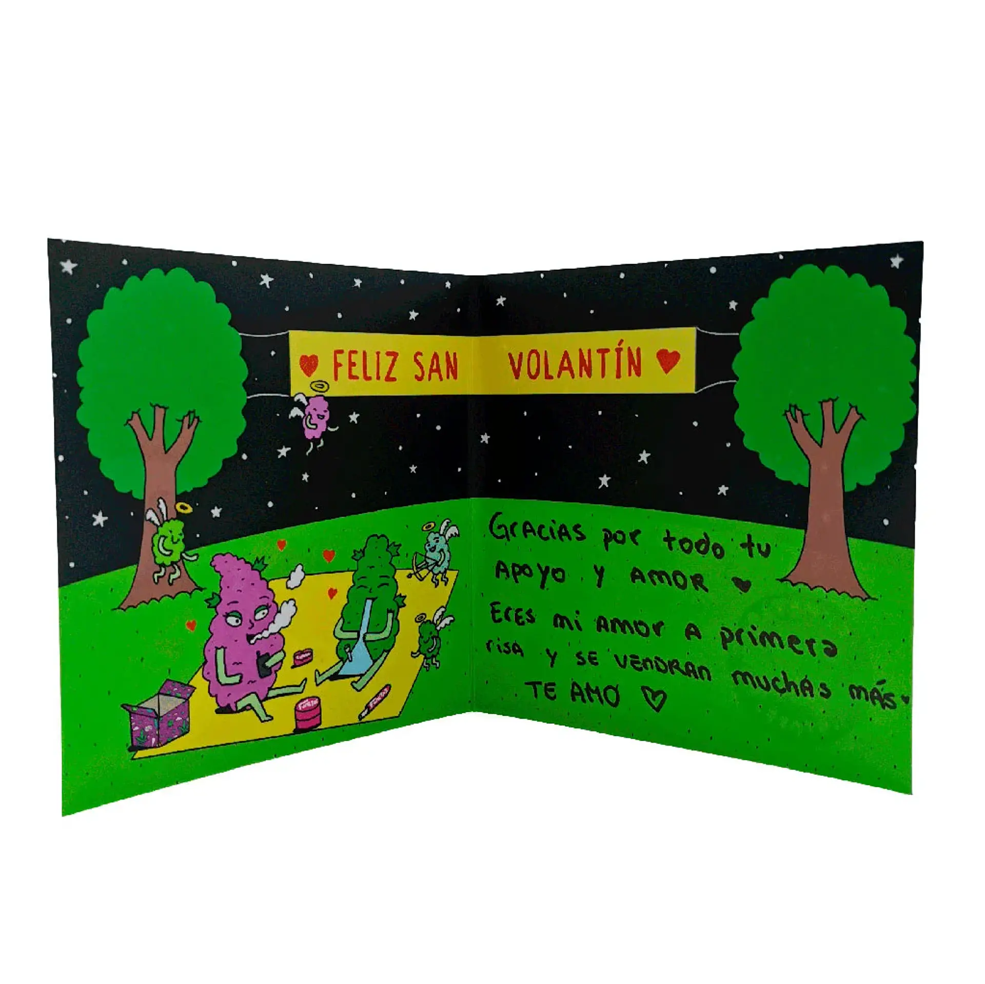 Tarjeta San Volantin 2