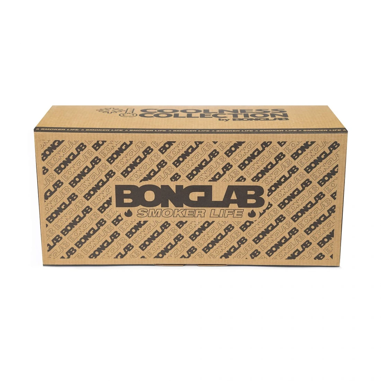 Bonglab Bong Glycerine Black Ice 48cm 4