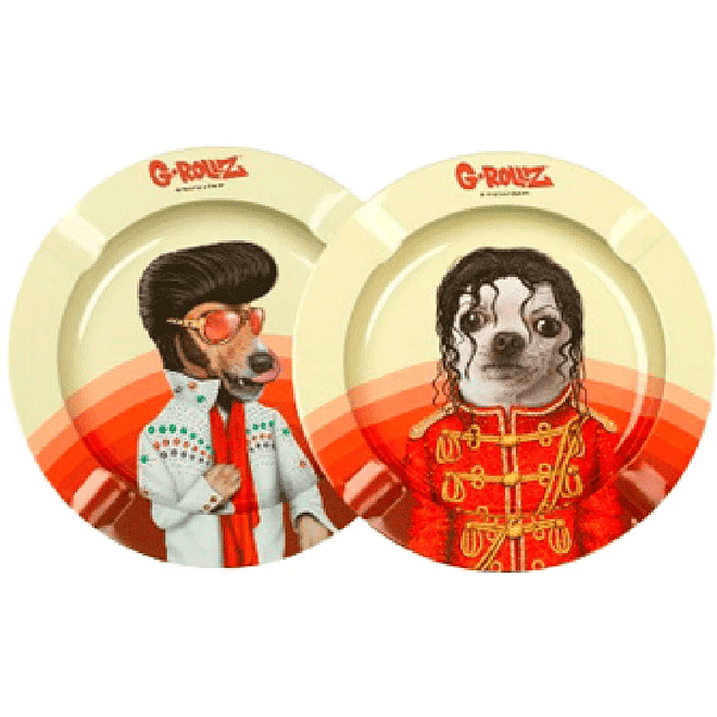 G-Rollz Cenicero Pets Rock 1