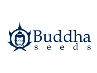 Buddha Seeds