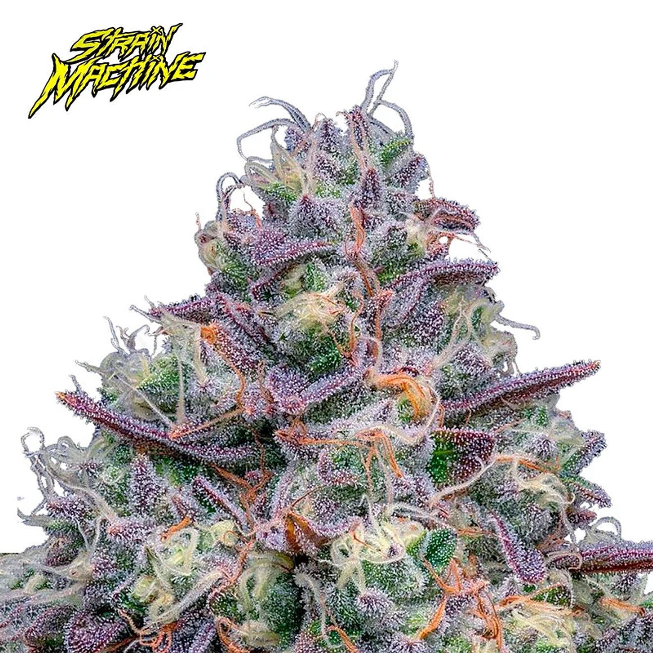 Strain Machine Cop Killer Auto 2