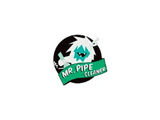 Mr Pipe Cleaner