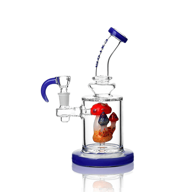 Calvo Glass Rig Hongo 22cm 1