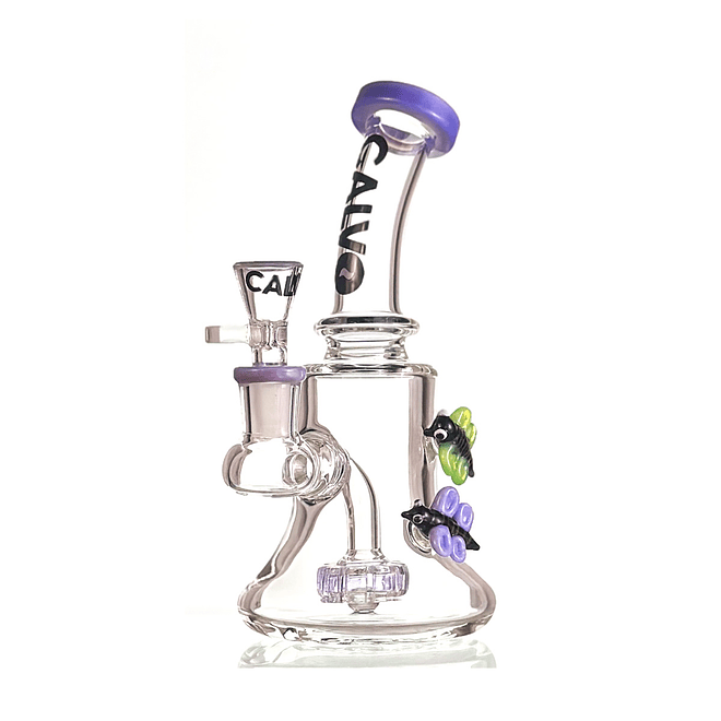 Calvo Glass Bee Rig Lite 19cm  1