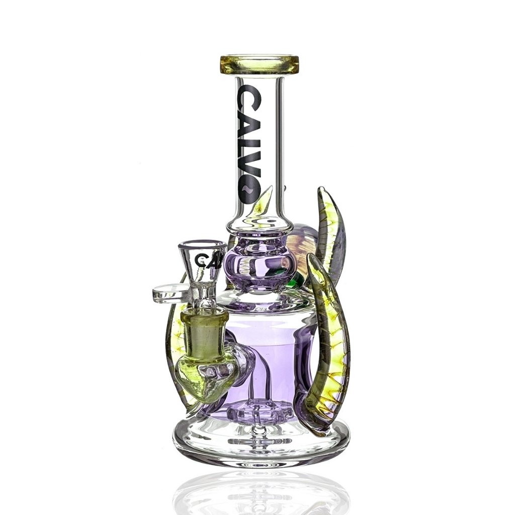 Calvo Bong Four Horn Rig Morado 20cm
