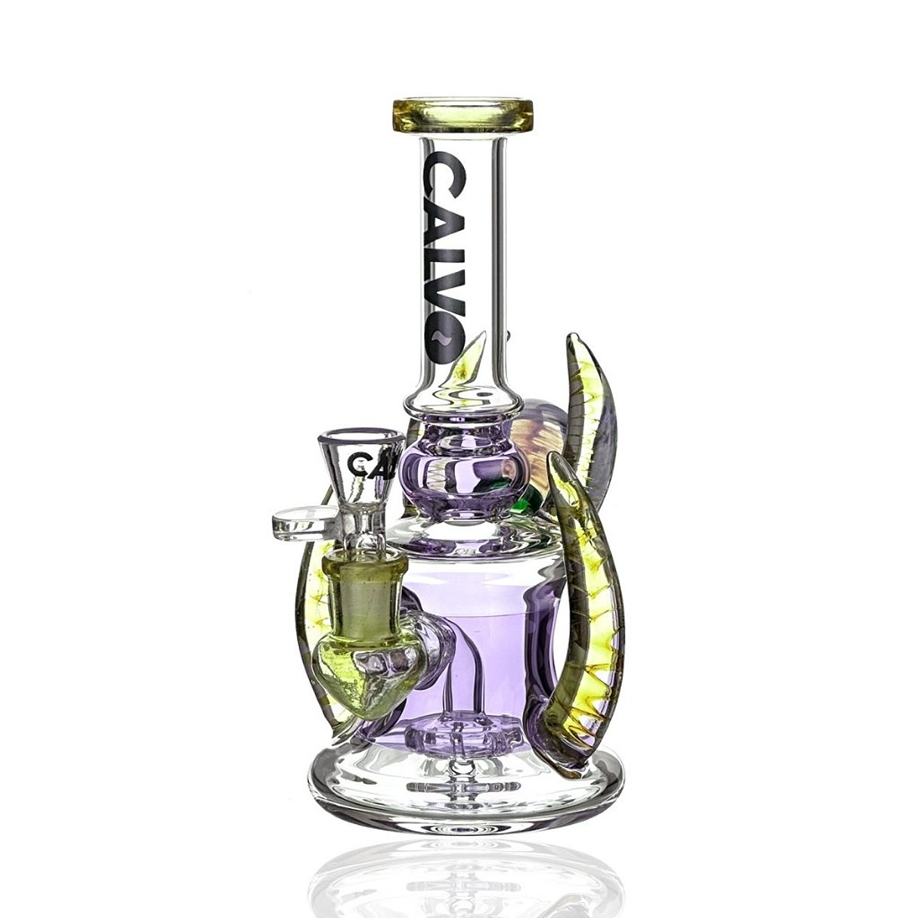 Calvo Bong Four Horn Rig Morado 20cm 1