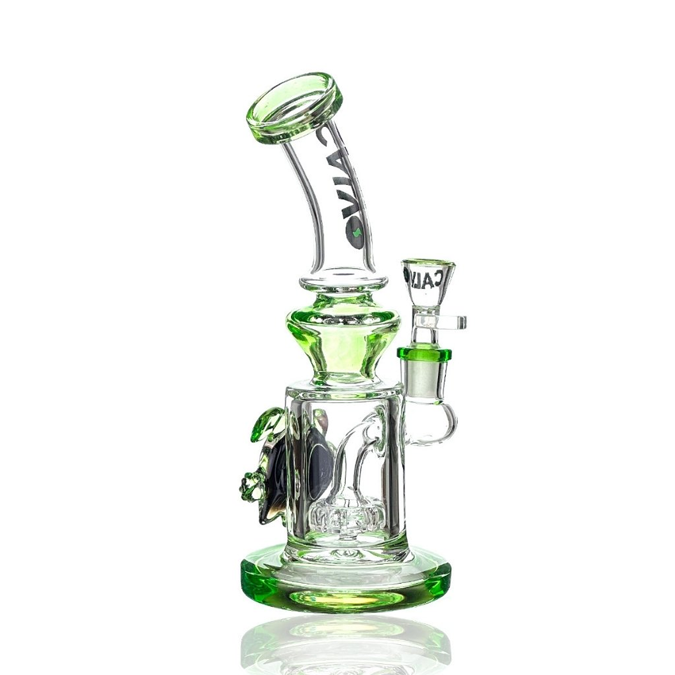 Calvo Bong Turtle Rig 23cm 3