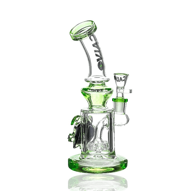 Calvo Bong Turtle Rig 23cm 3