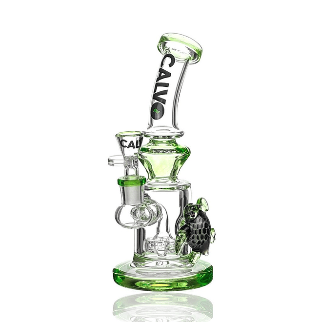 Calvo Bong Turtle Rig 23cm 1