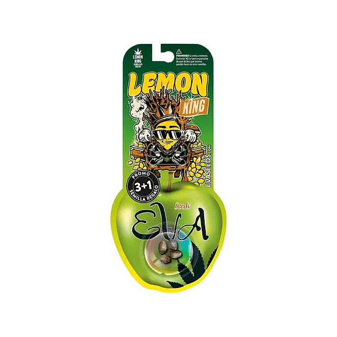 Eva Seeds Lemon King Fem 1