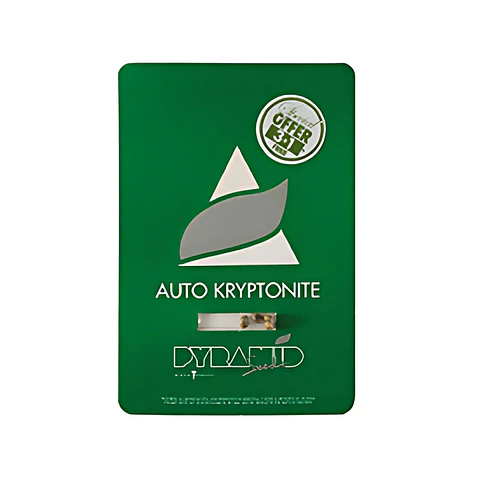 Pyramid Seeds Kryptonite Auto