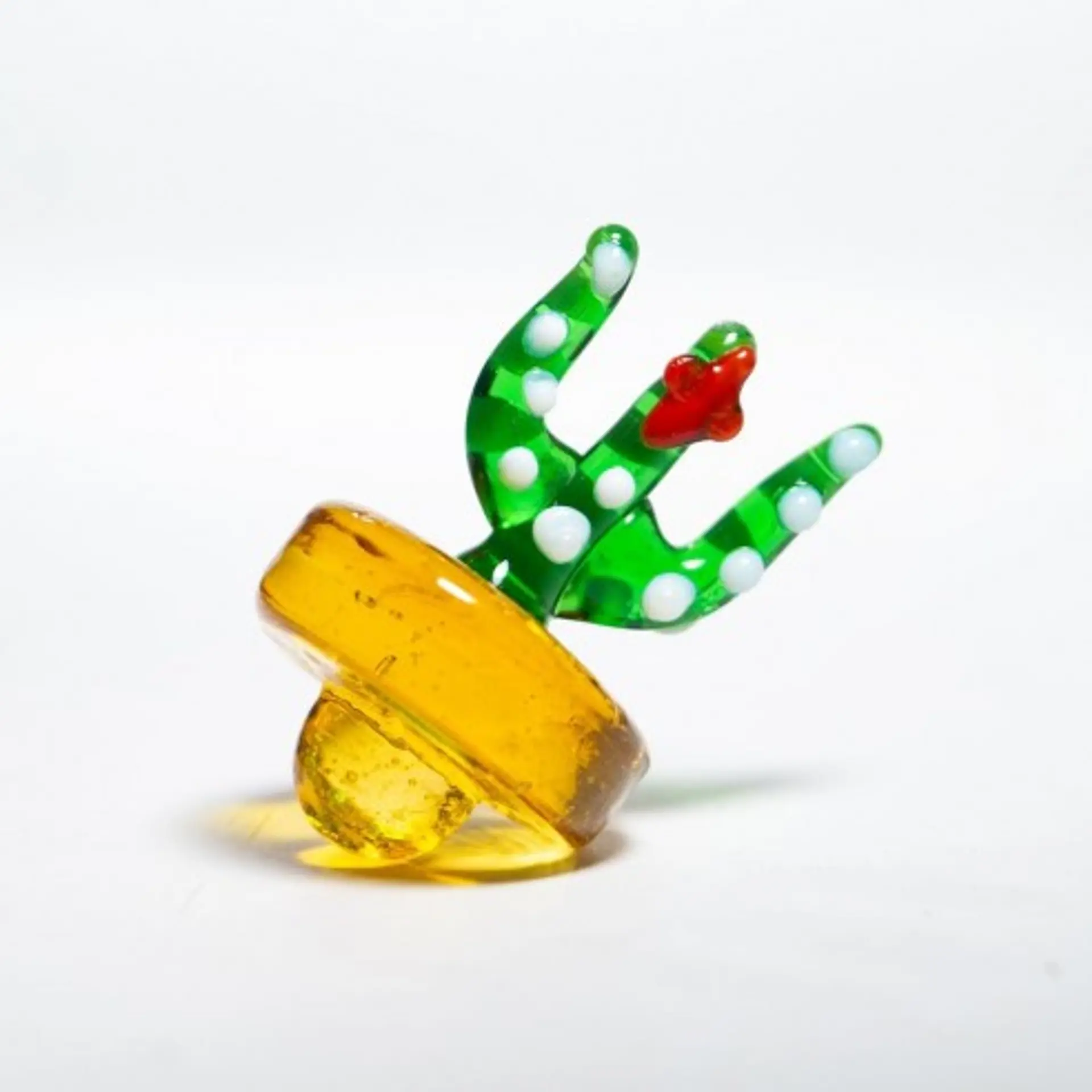 Cab Cap Cactus 1