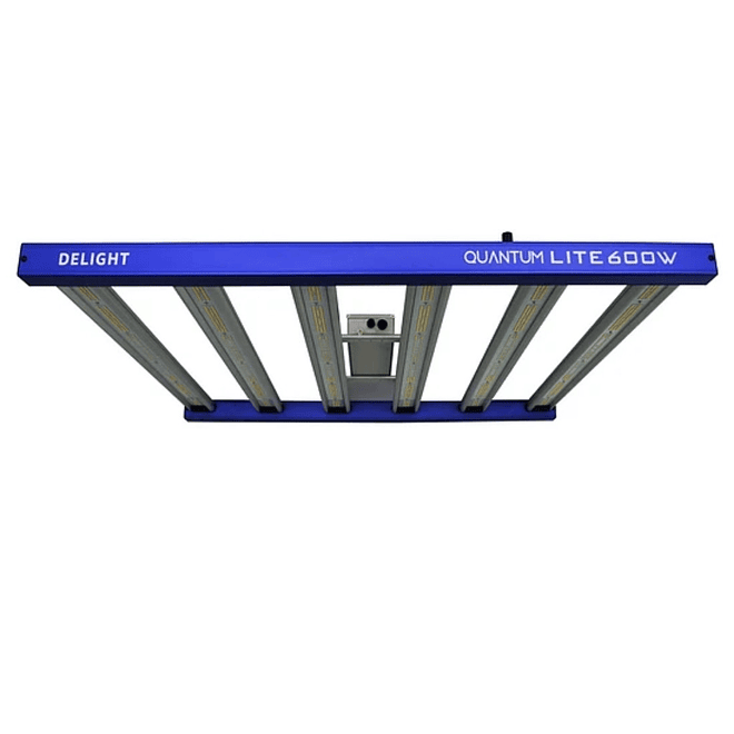 Delight LED Quantum Lite 600W 3