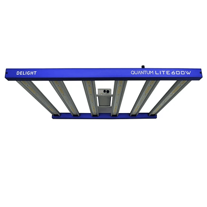 Delight LED Quantum Lite 600W 3