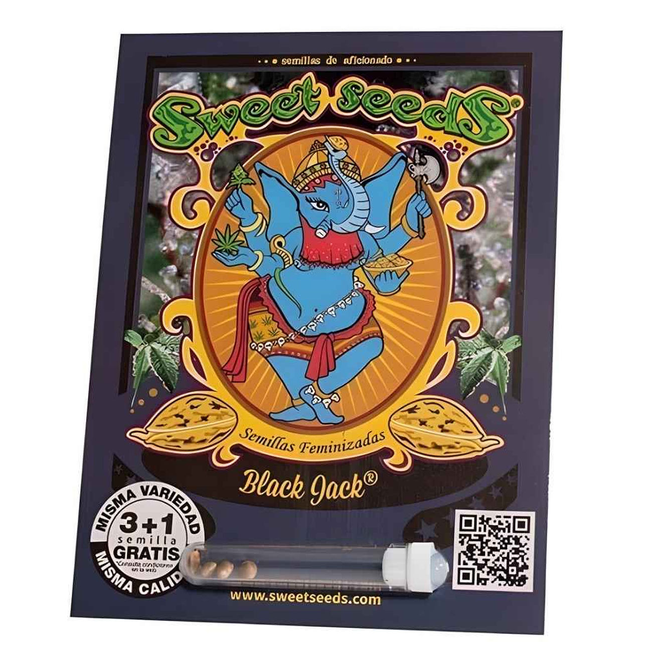 Sweet Seeds Black Jack Fem 1
