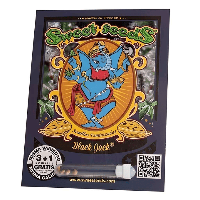 Sweet Seeds Black Jack Fem 1