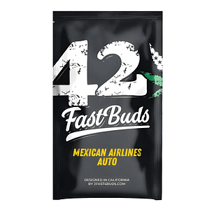 Fast Buds Mexican Airlines Auto 3 + 2