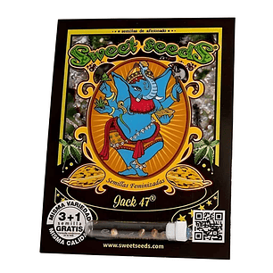 Sweet Seeds Jack 47 Fem