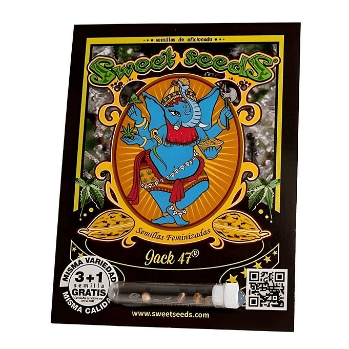Sweet Seeds Jack 47 Fem 1