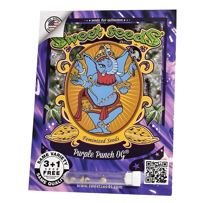 Sweet Seeds Purple Punch Og Fem 1