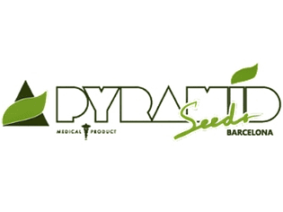 Pyramid Seeds
