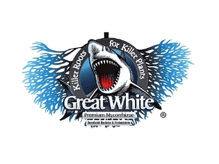 Great White