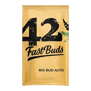 Fast Buds Big Bud Auto