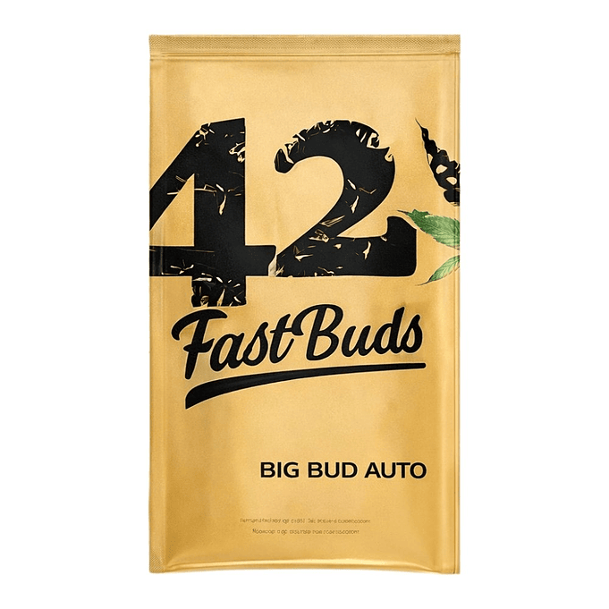 Fast Buds Big Bud Auto 1
