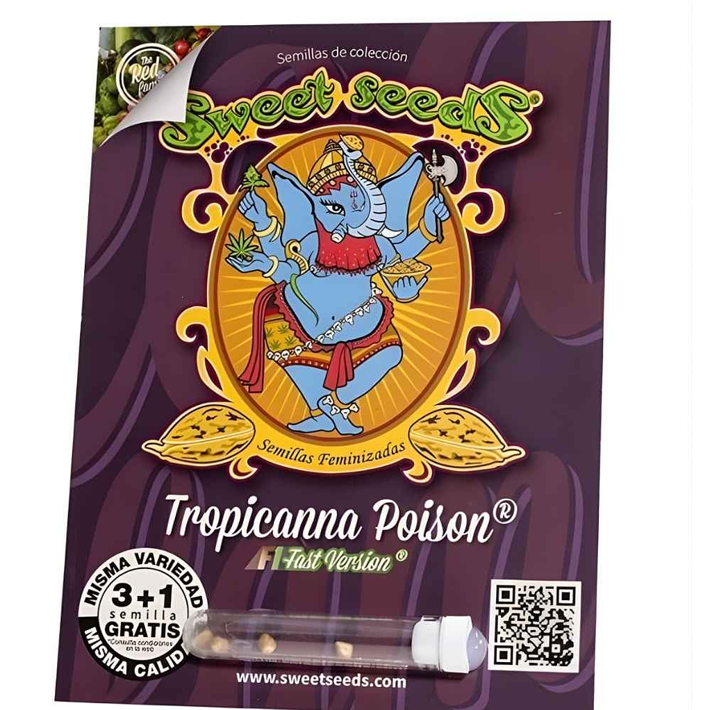 Sweet Seeds Tropicanna Poison F1 Fem 1