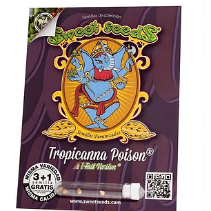 Sweet Seeds Tropicanna Poison F1 Fem