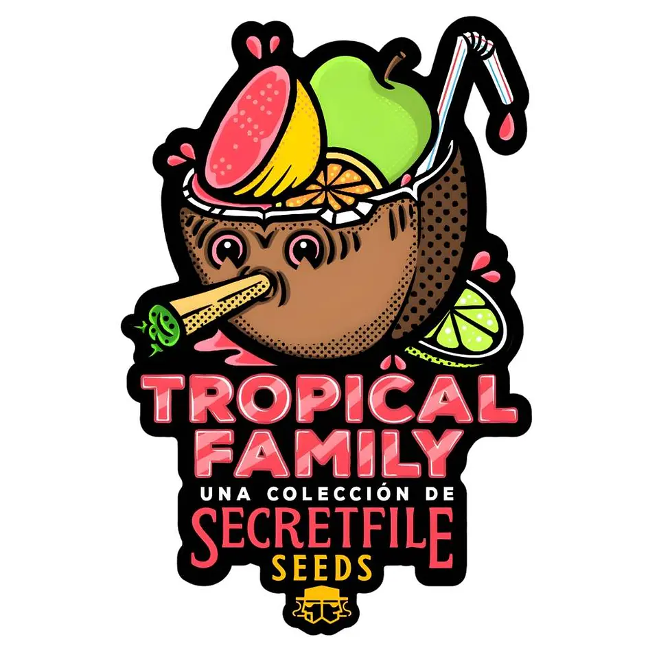 Secretfile Seeds Spritz x Fruity Pebbles OG Fem 3 + 1 1