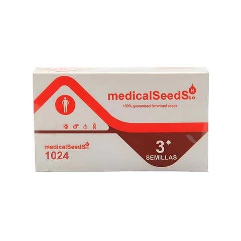 Medical Seeds 1024 Fem