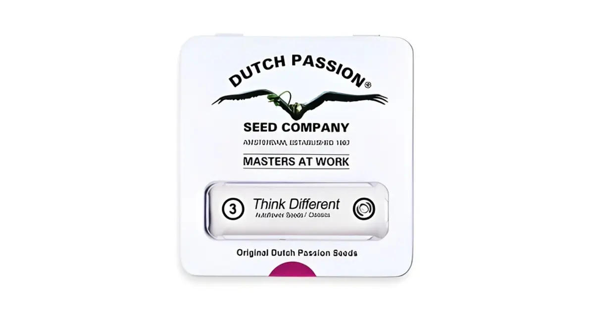 Dutch Passion Think Different Auto