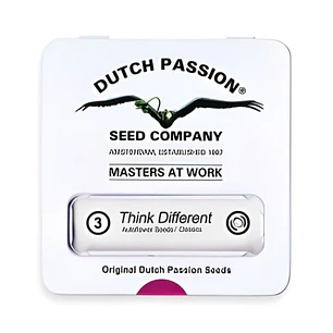Dutch Passion Think Different Auto