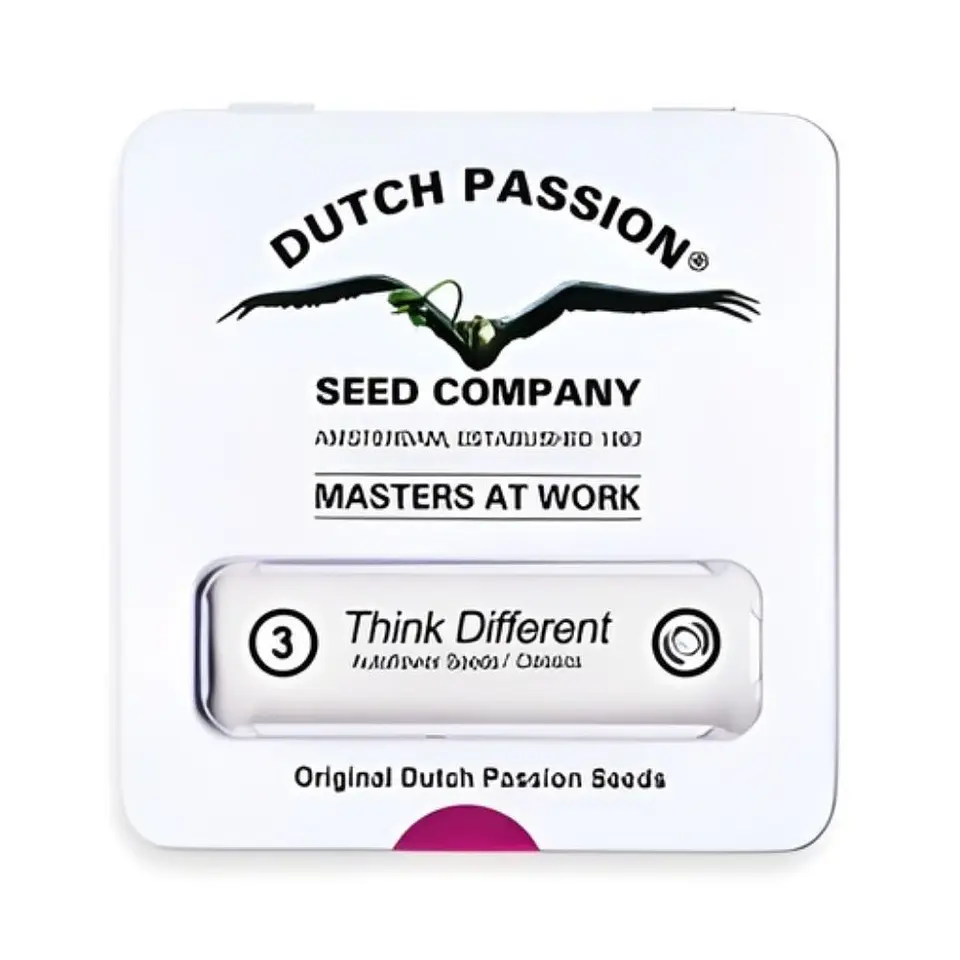 Dutch Passion Think Different Auto 1