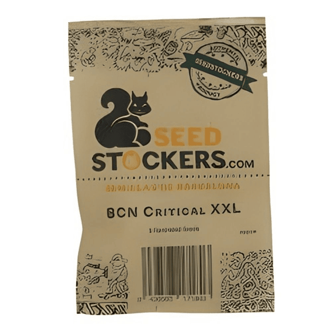 Seed Stockers BCN Critical XXL Auto 1
