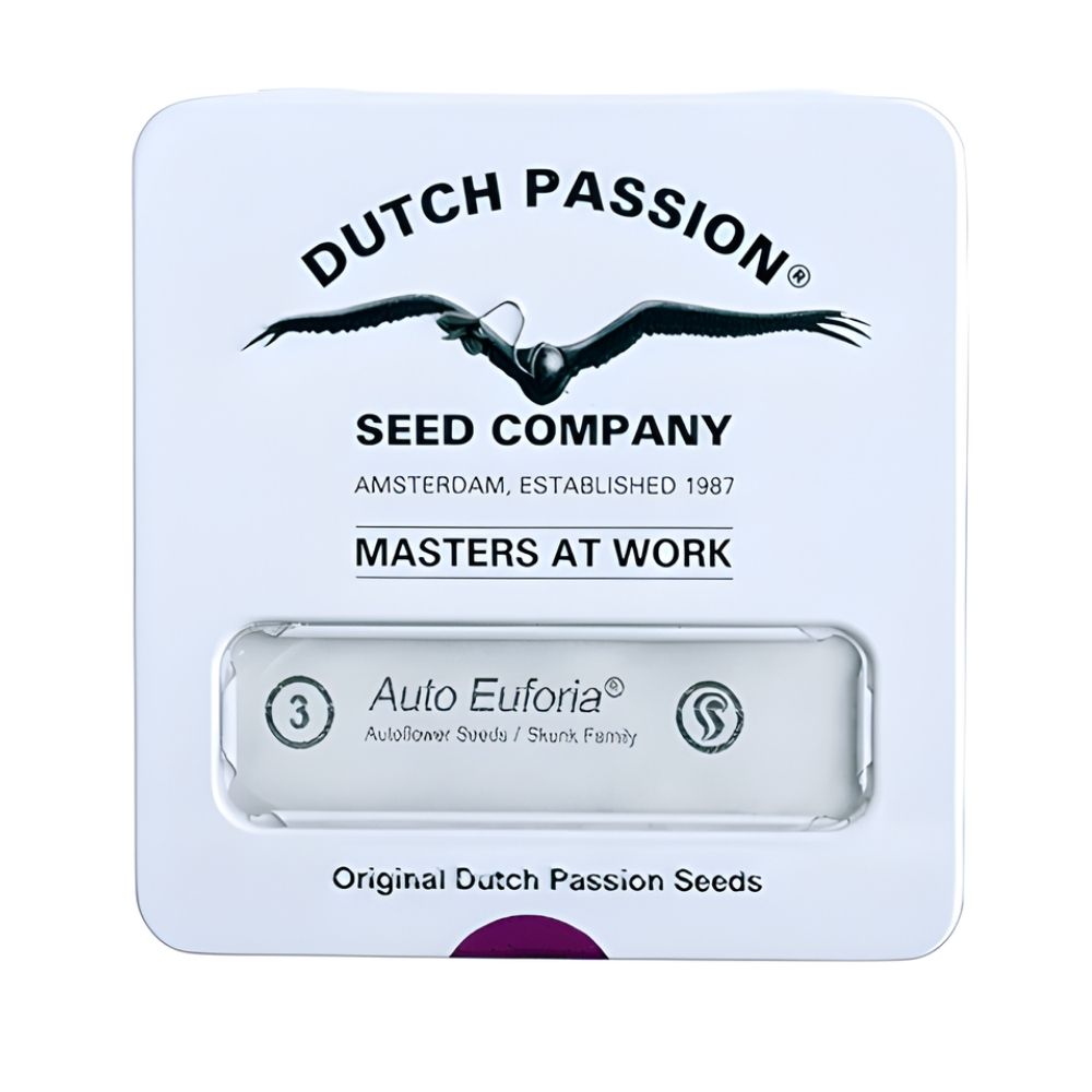 ORANGE BUD AUTO X3 - DUTCH PASSION