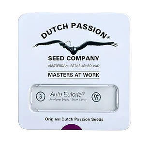 Dutch Passion Euforia Auto