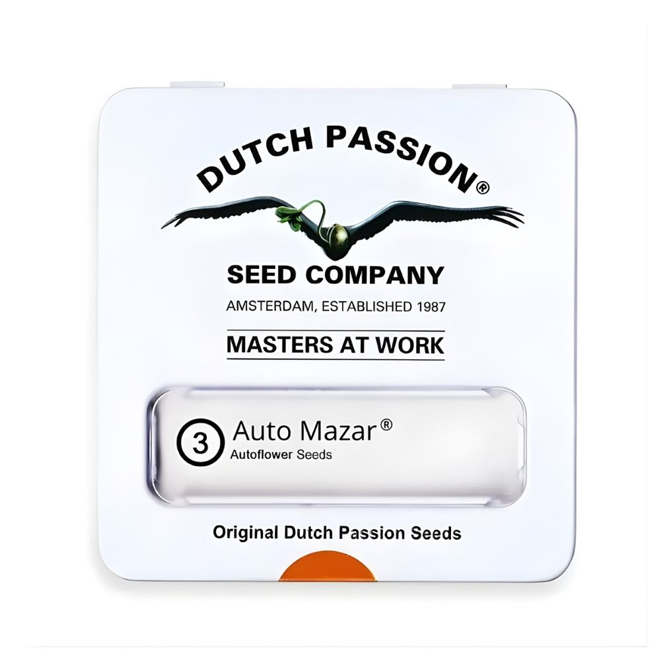 Dutch Passion Mazar Auto 1