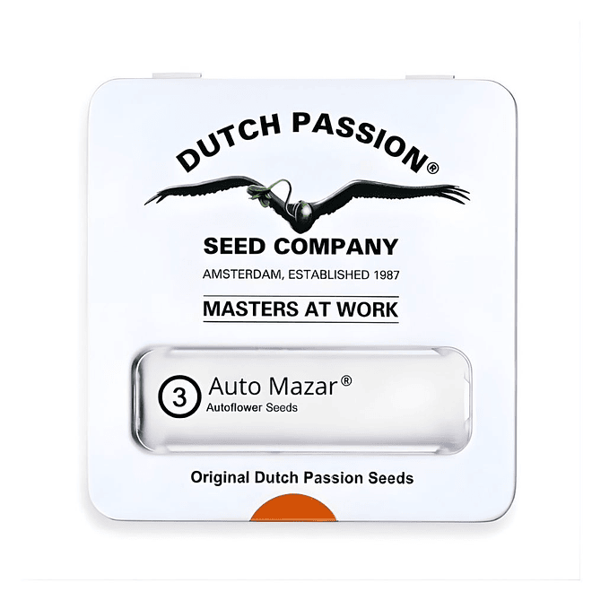 Dutch Passion Mazar Auto 1