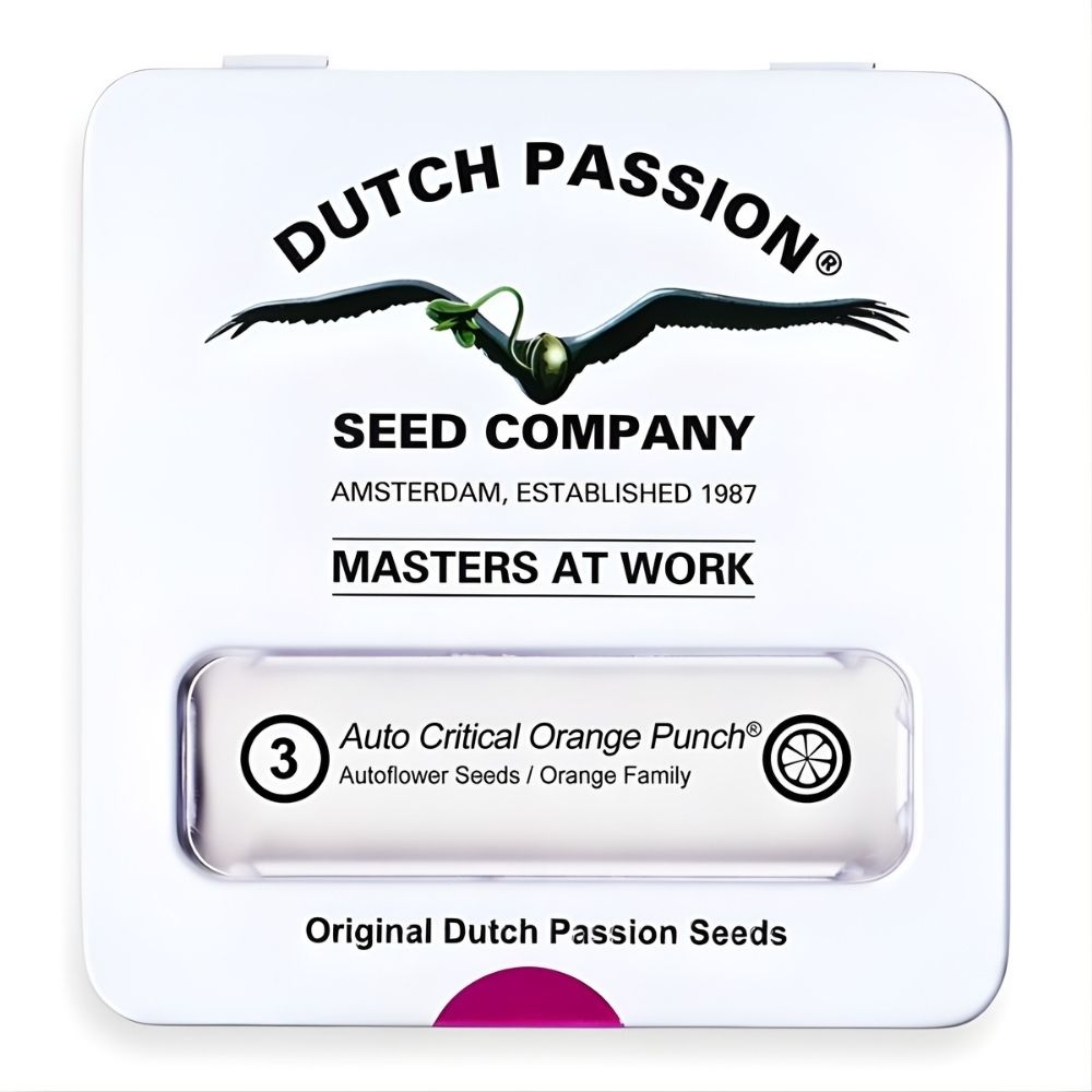 Auto Daiquiri Lime Dutch Passion