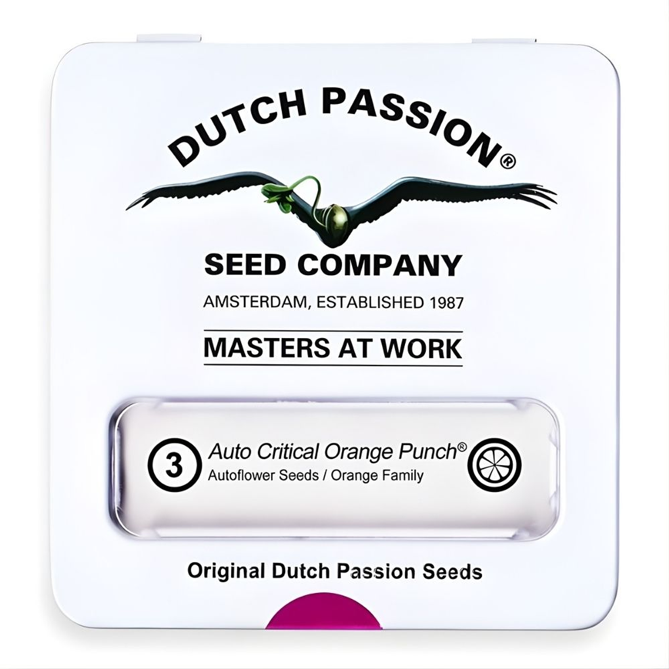 Dutch Passion Critical Orange Punch Auto 1