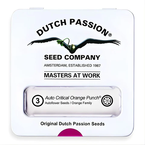 Dutch Passion Critical Orange Punch Auto