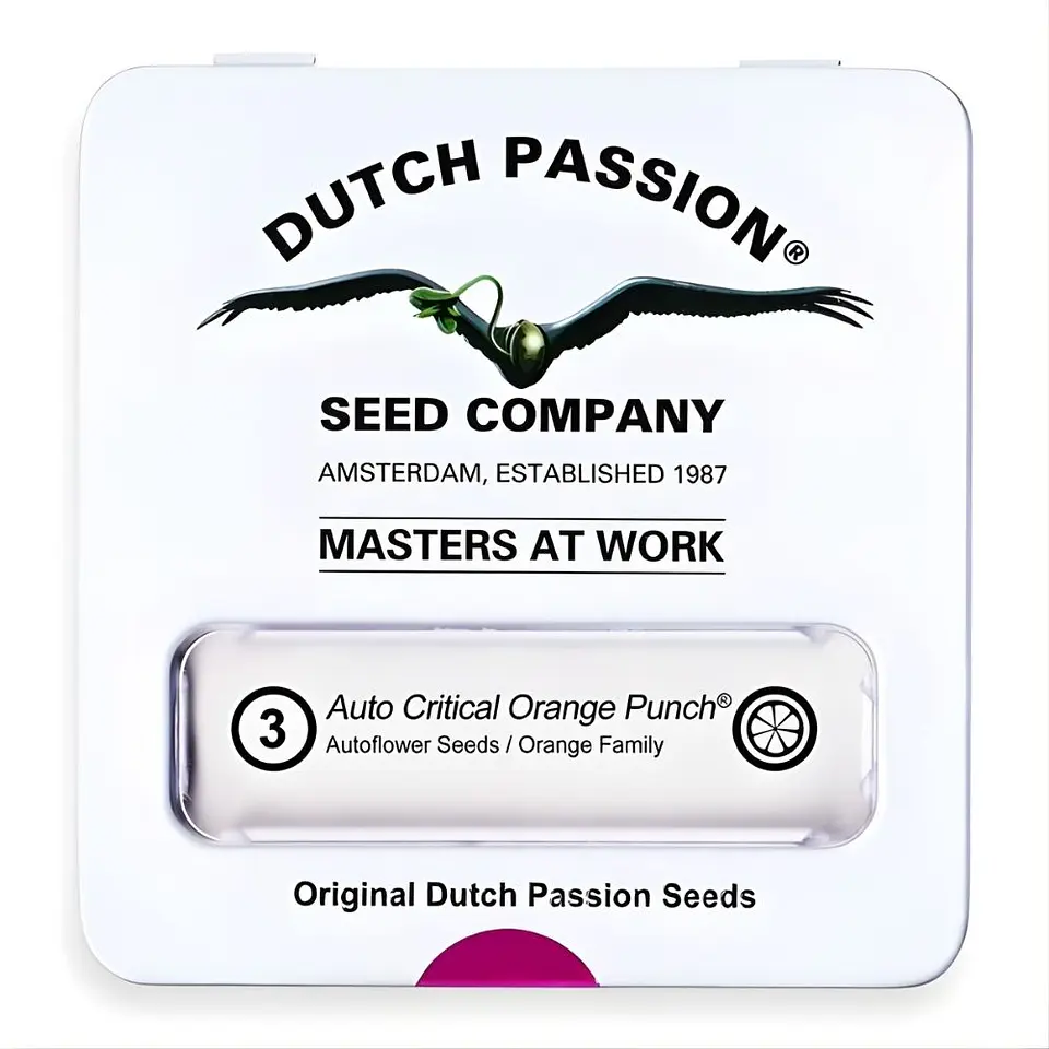 Dutch Passion Critical Orange Punch Auto 1