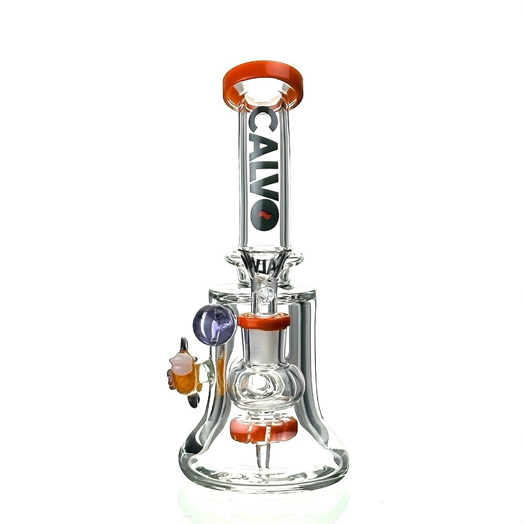 Calvo Bong Aqua Rig 19cm 5