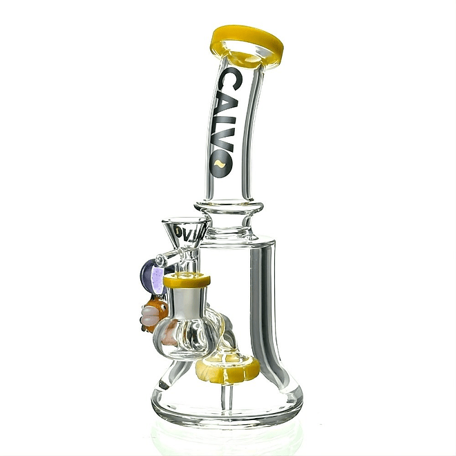 Calvo Bong Aqua Rig 19cm 9