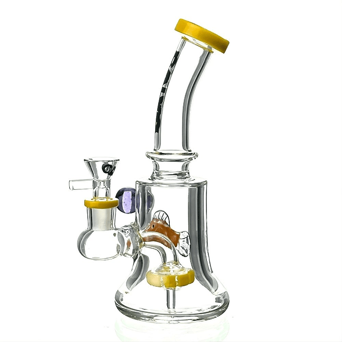 Calvo Bong Aqua Rig 19cm 10