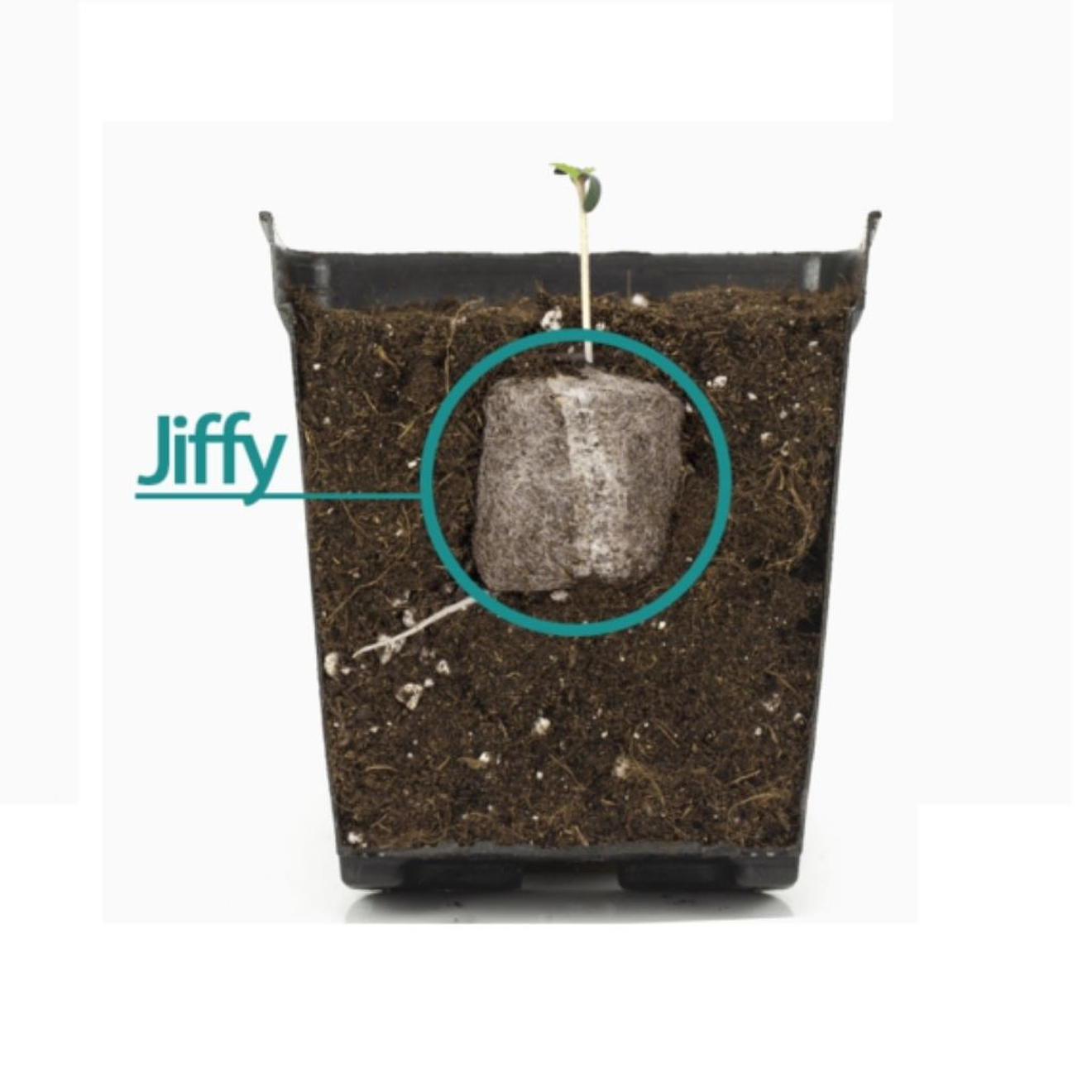 Jiffy Pastilla de Germinación 2