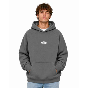 Polerón Hoodie Nube Gris- Fumetas x Endless